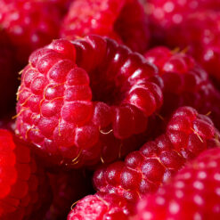 superfood cocktail 4 tan + skin + hair + nails iv therapy patch