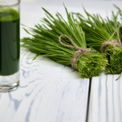raw wheatgrass + barleygrass powders