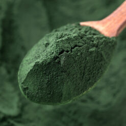 hawaiian spirulina powder
