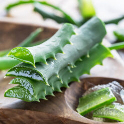freeze-dried inner leaf aloe vera gel powder - 200X potency