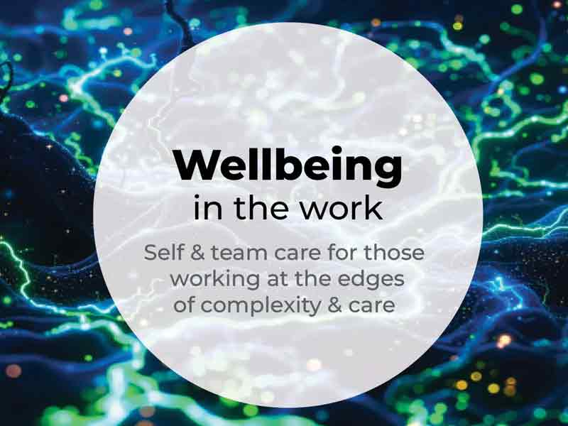 Wellbeing in the work - Self & team care for those working at the edges of complexity & care