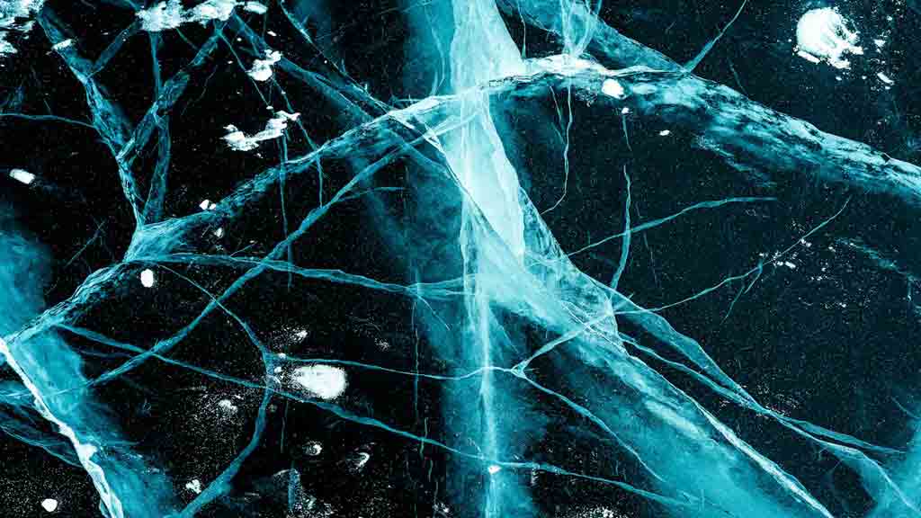 Why nervous system literacy matters in a complex world