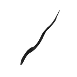 nourishing cream-to-gel liquid liner
